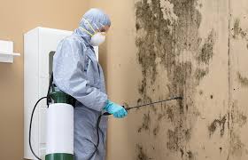 Why You Should Choose Our Mold Remediation Services in Wyandanch, NY